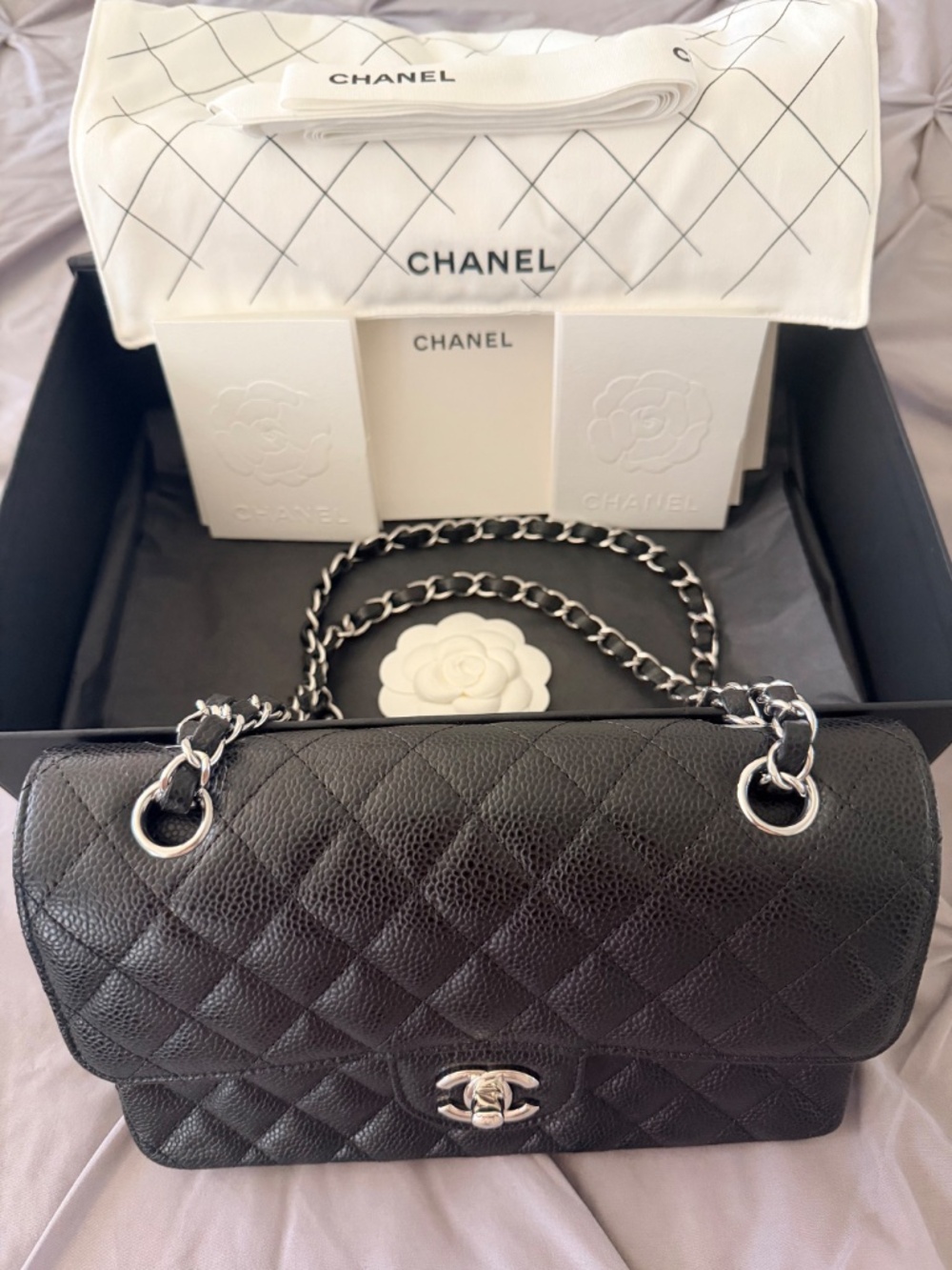 Chanel Small Classic Handbag - Picture 2 of 14